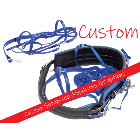 Custom Racing Harness